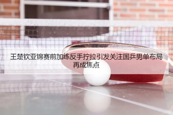 王楚钦亚锦赛前加练反手拧拉引发关注国乒男单布局再成焦点